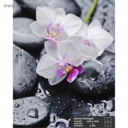 Фотообои Симфония Белая орхидея К-095 -
